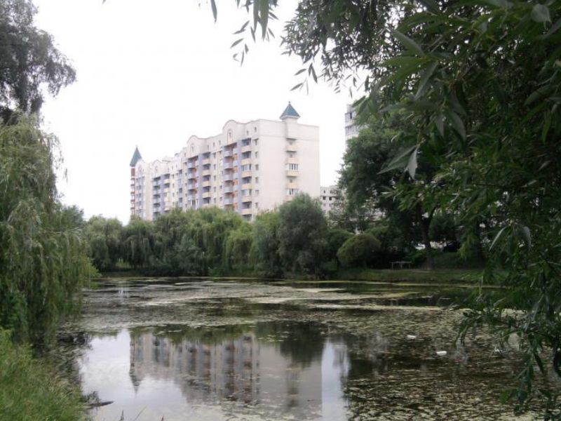 Роман Пальчик